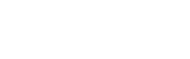 Wordmark, white on transparent
